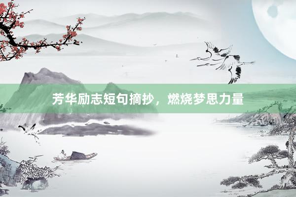 芳华励志短句摘抄，燃烧梦思力量