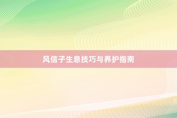 风信子生息技巧与养护指南