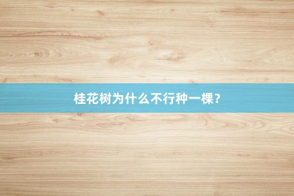 桂花树为什么不行种一棵？