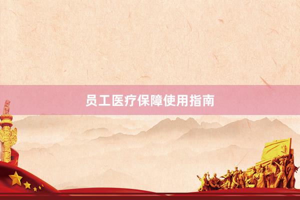 员工医疗保障使用指南