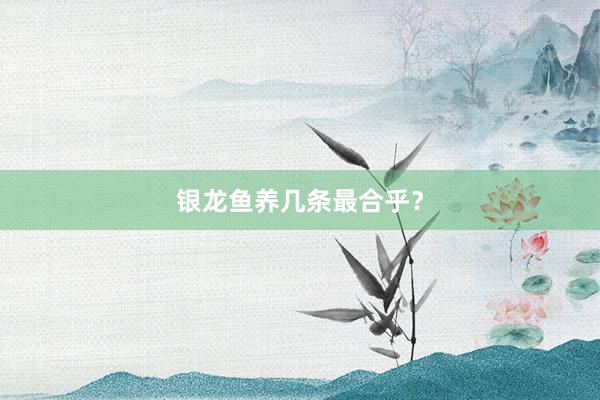 银龙鱼养几条最合乎?
